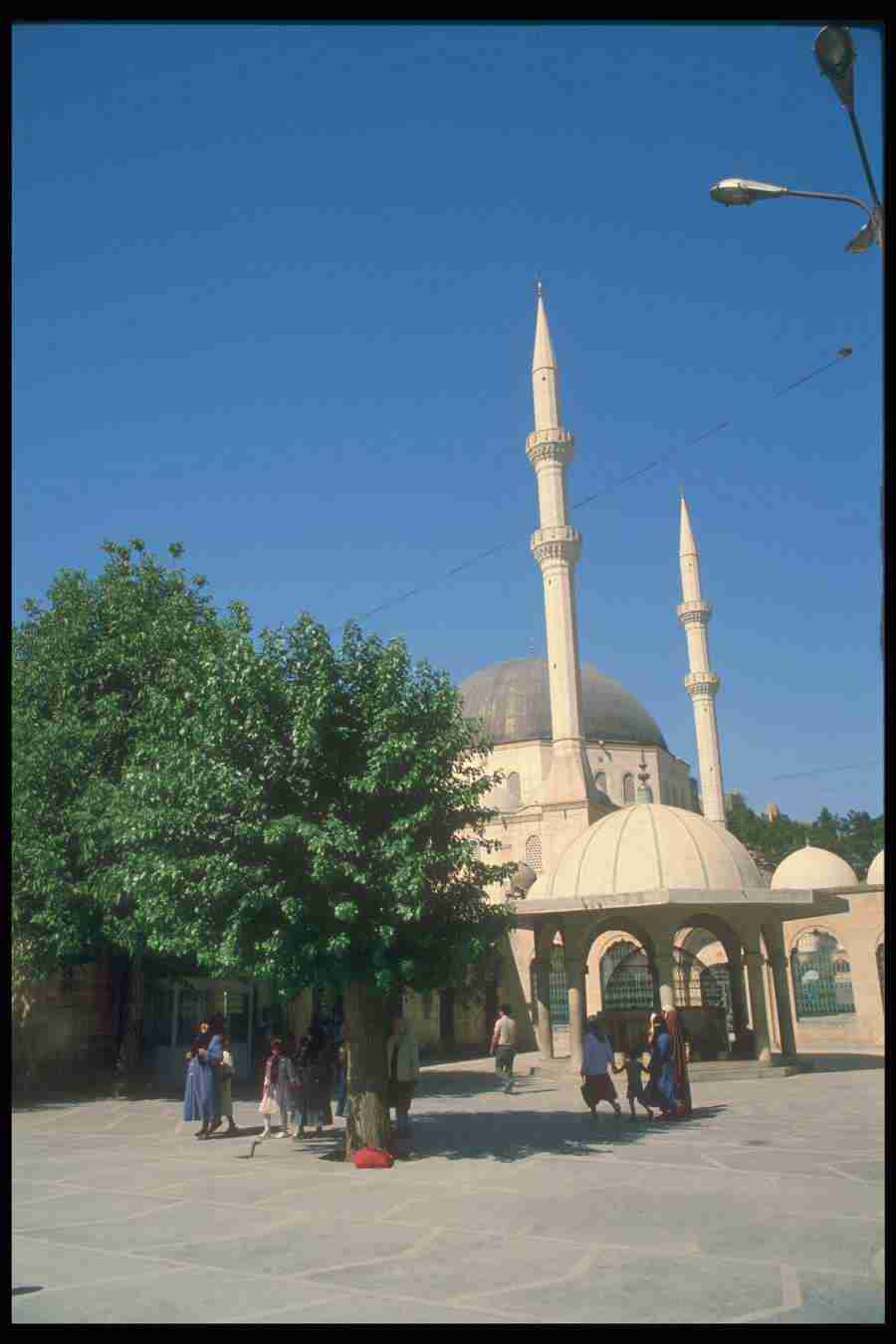 Turkey 2 - Corel Professional Photos ></a>
<script language=JavaScript> 
  var txt = 