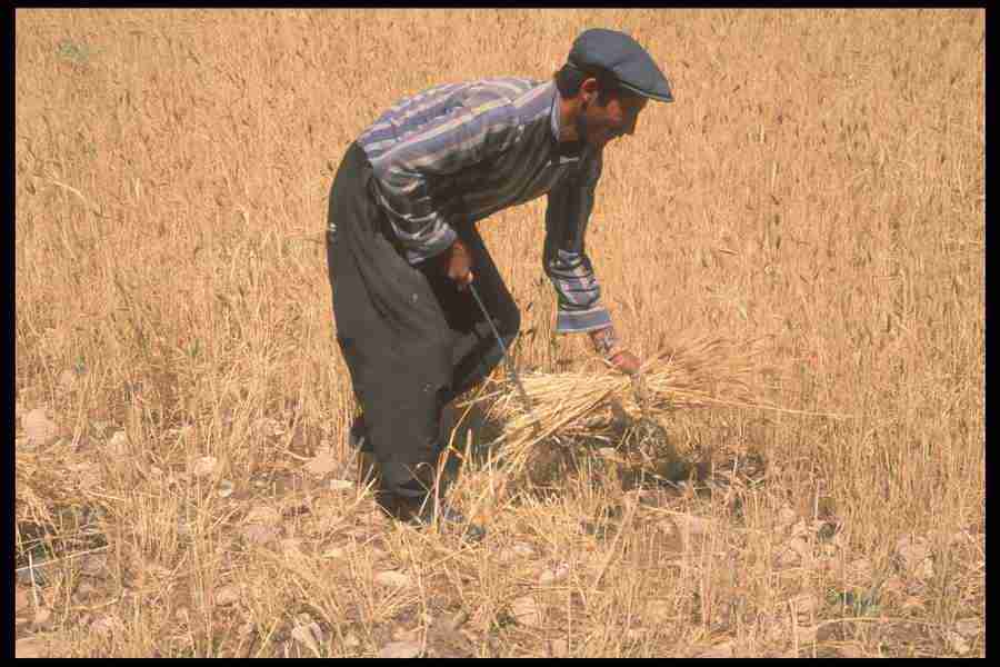 Turkey 2 - Corel Professional Photos ></a>
<script language=JavaScript> 
  var txt = 