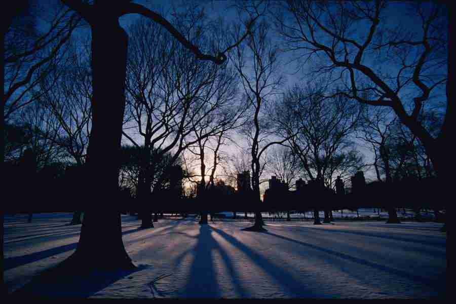 The Big Apple - Corel Professional Photos ></a>
<script language=JavaScript> 
  var txt = 