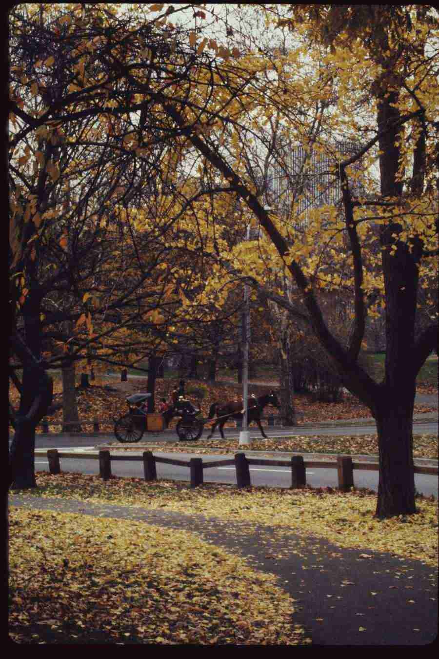 The Big Apple - Corel Professional Photos ></a>
<script language=JavaScript> 
  var txt = 