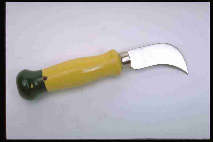 Tools - Corel Professional Photos ></a>
<script language=JavaScript> 
  var txt = 