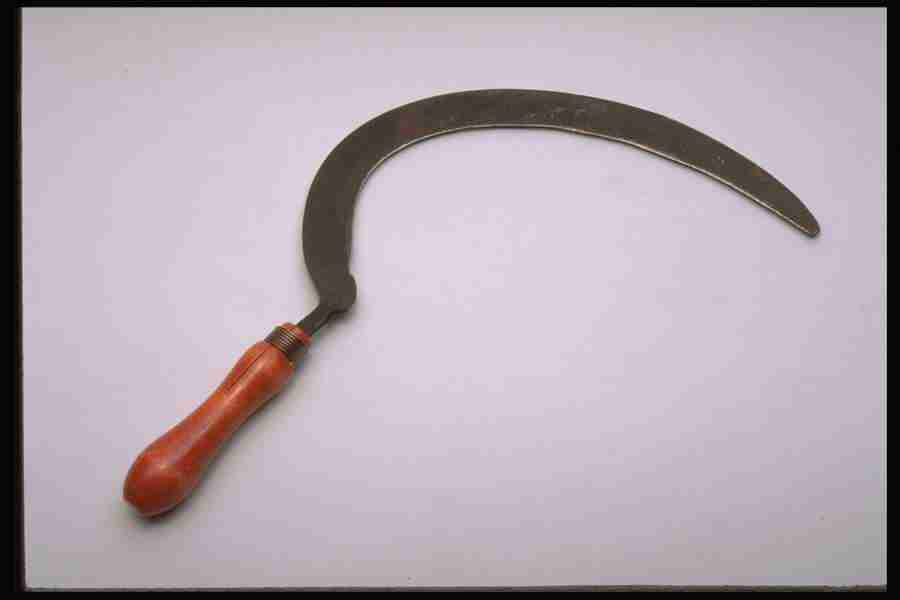 Tools - Corel Professional Photos ></a>
<script language=JavaScript> 
  var txt = 