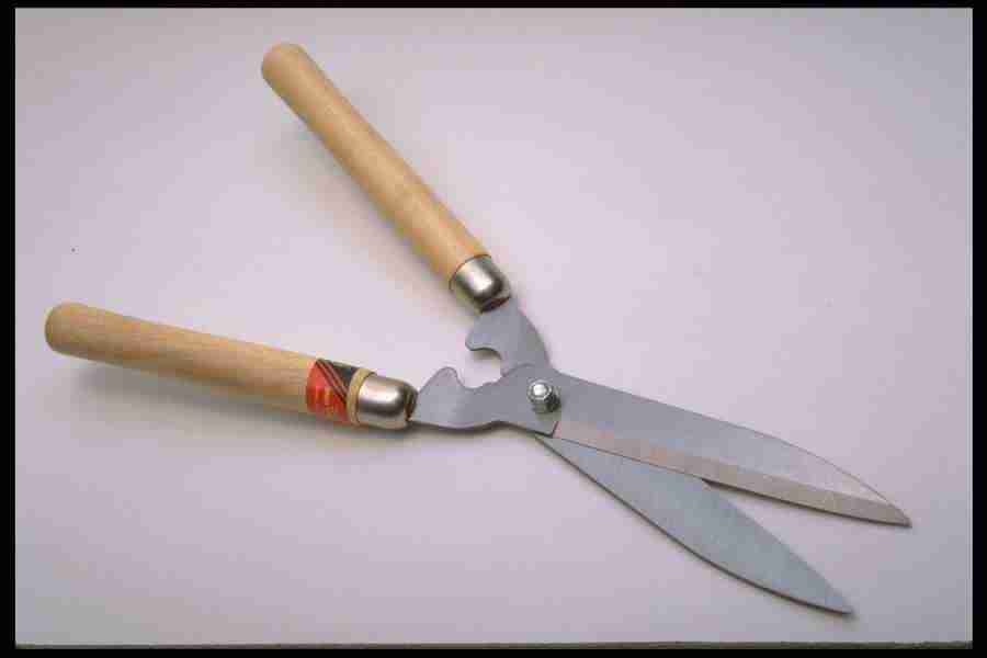 Tools - Corel Professional Photos ></a>
<script language=JavaScript> 
  var txt = 