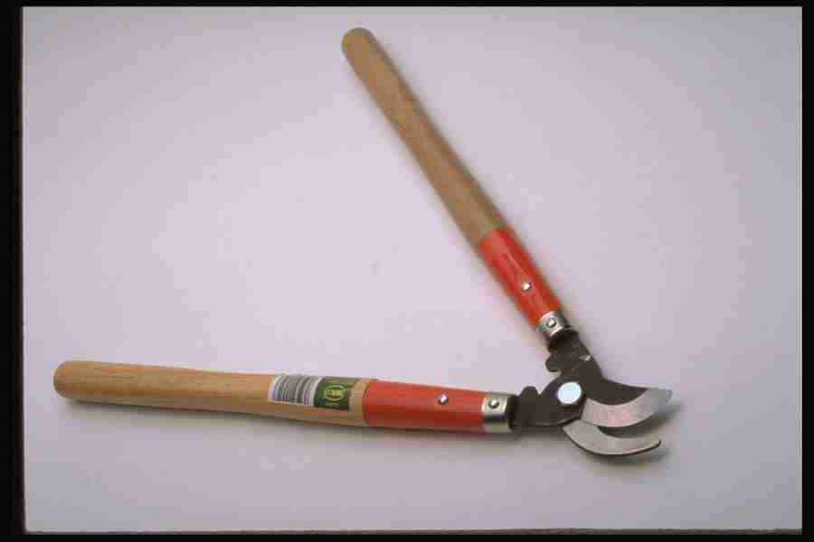 Tools - Corel Professional Photos ></a>
<script language=JavaScript> 
  var txt = 