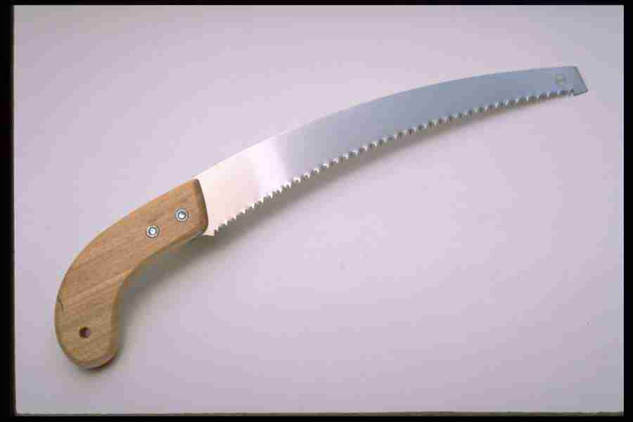 Tools - Corel Professional Photos ></a>
<script language=JavaScript> 
  var txt = 