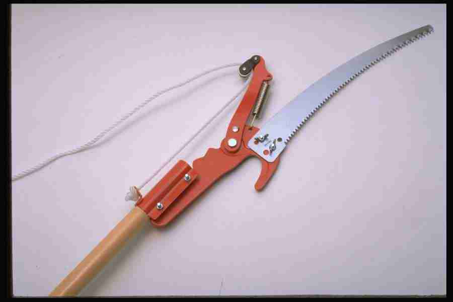 Tools - Corel Professional Photos ></a>
<script language=JavaScript> 
  var txt = 