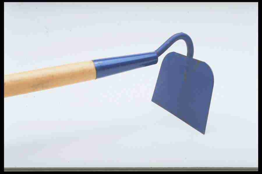 Tools - Corel Professional Photos ></a>
<script language=JavaScript> 
  var txt = 