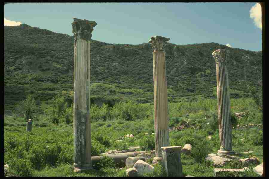 Turkey - Corel Professional Photos ></a>
<script language=JavaScript> 
  var txt = 