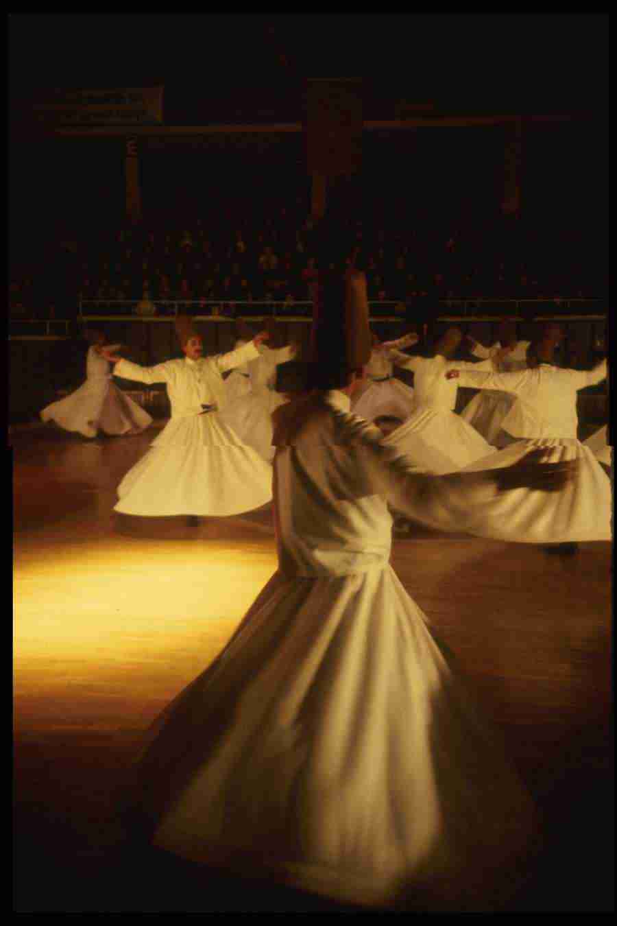 Turkey - Corel Professional Photos ></a>
<script language=JavaScript> 
  var txt = 