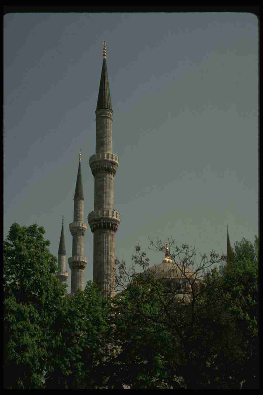 Turkey - Corel Professional Photos ></a>
<script language=JavaScript> 
  var txt = 