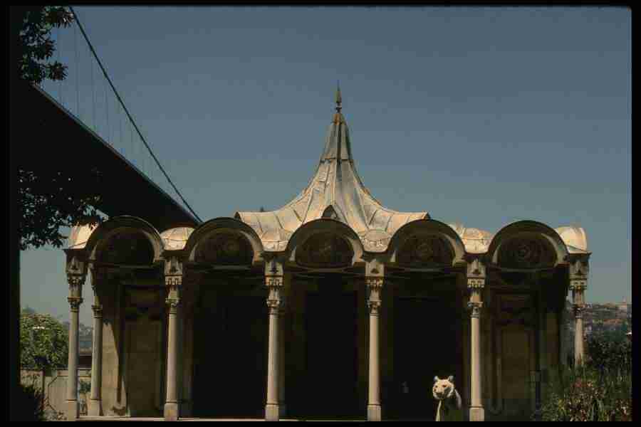 Turkey - Corel Professional Photos ></a>
<script language=JavaScript> 
  var txt = 