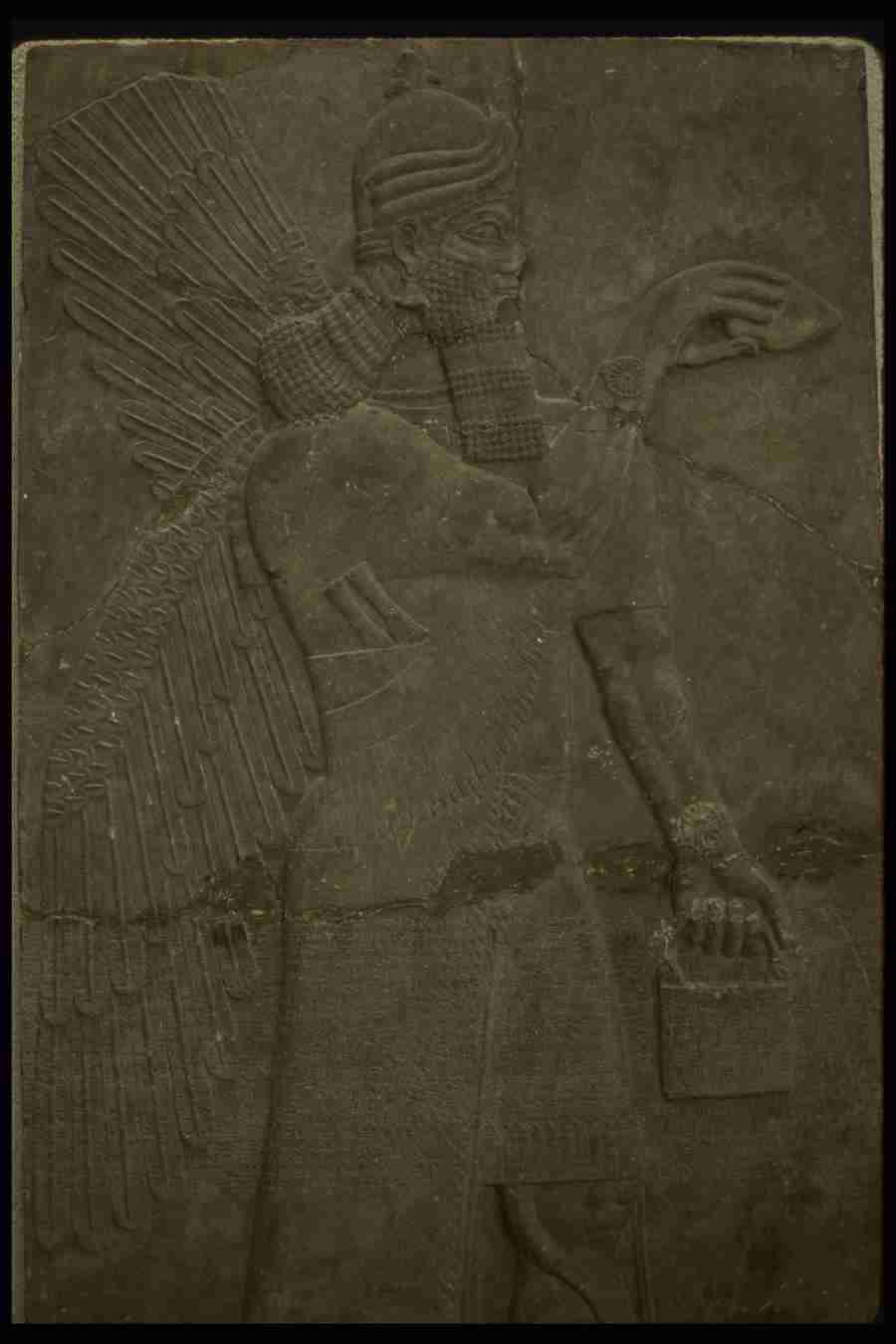 Turkey - Corel Professional Photos ></a>
<script language=JavaScript> 
  var txt = 