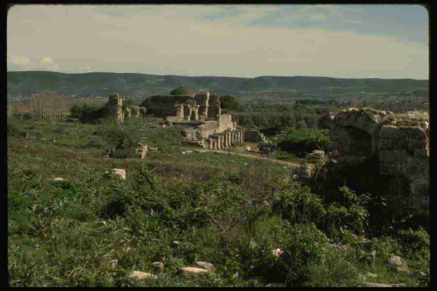 Turkey - Corel Professional Photos ></a>
<script language=JavaScript> 
  var txt = 