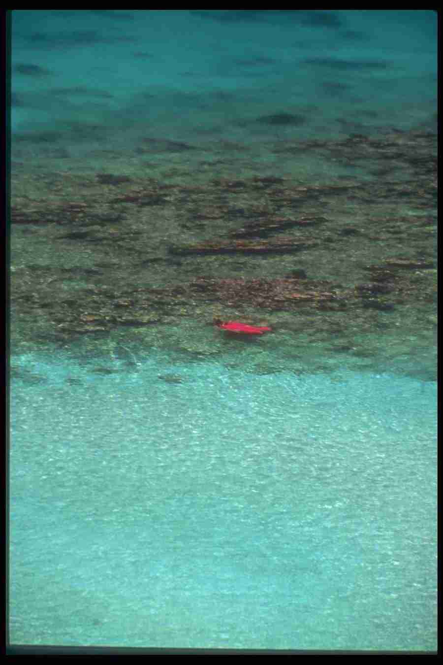 Virgin Islands - Corel Professional Photos ></a>
<script language=JavaScript> 
  var txt = 