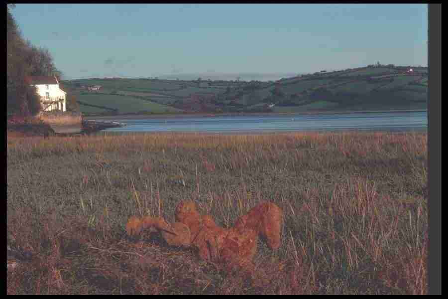 Wales - Corel Professional Photos ></a>
<script language=JavaScript> 
  var txt = 