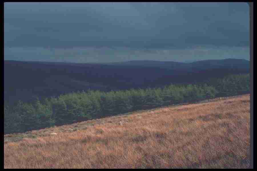 Wales - Corel Professional Photos ></a>
<script language=JavaScript> 
  var txt = 