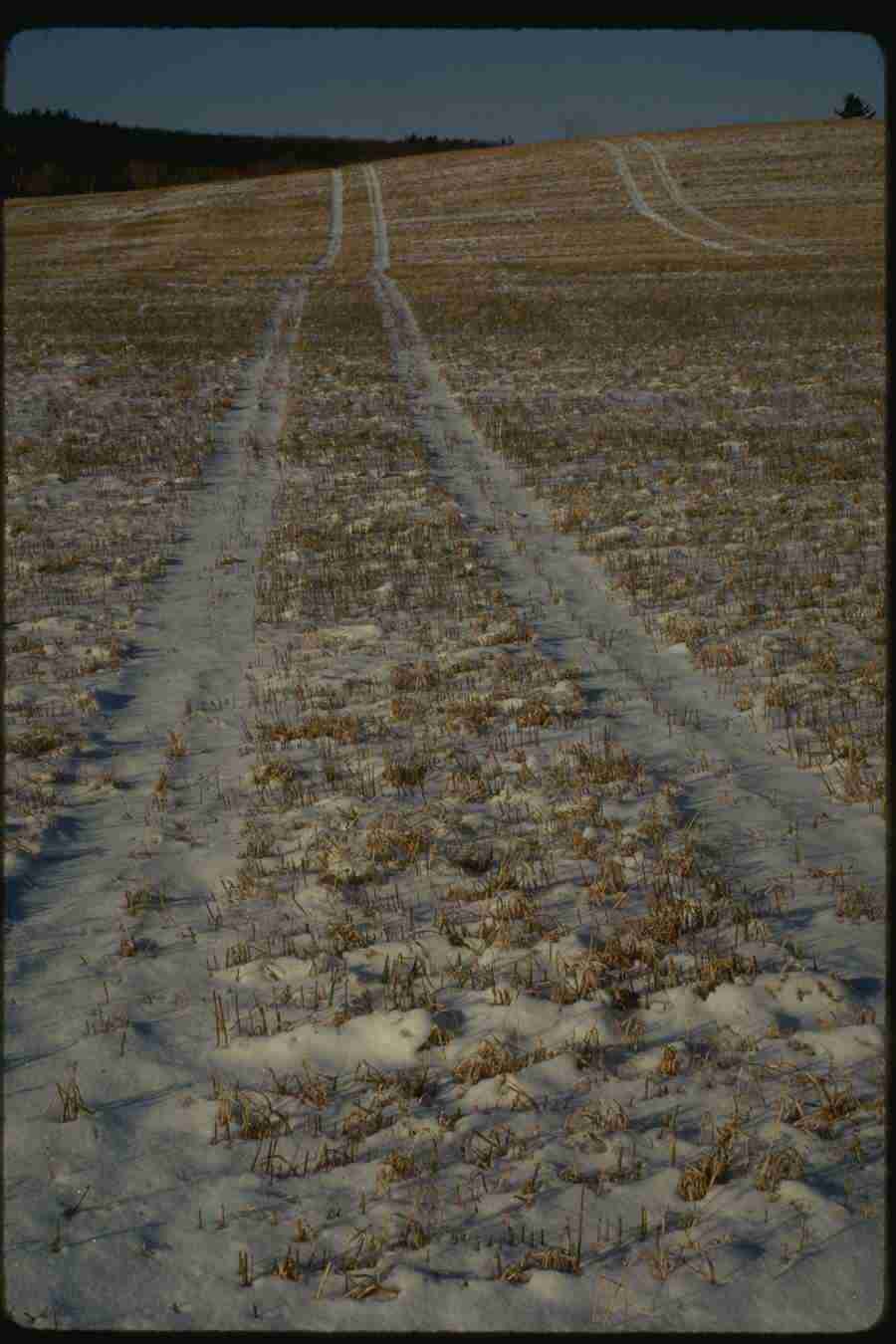 Winter - Corel Professional Photos ></a>
<script language=JavaScript> 
  var txt = 