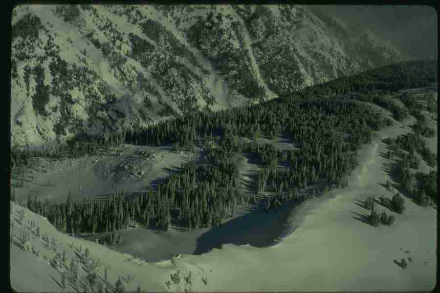 Winter - Corel Professional Photos ></a>
<script language=JavaScript> 
  var txt = 