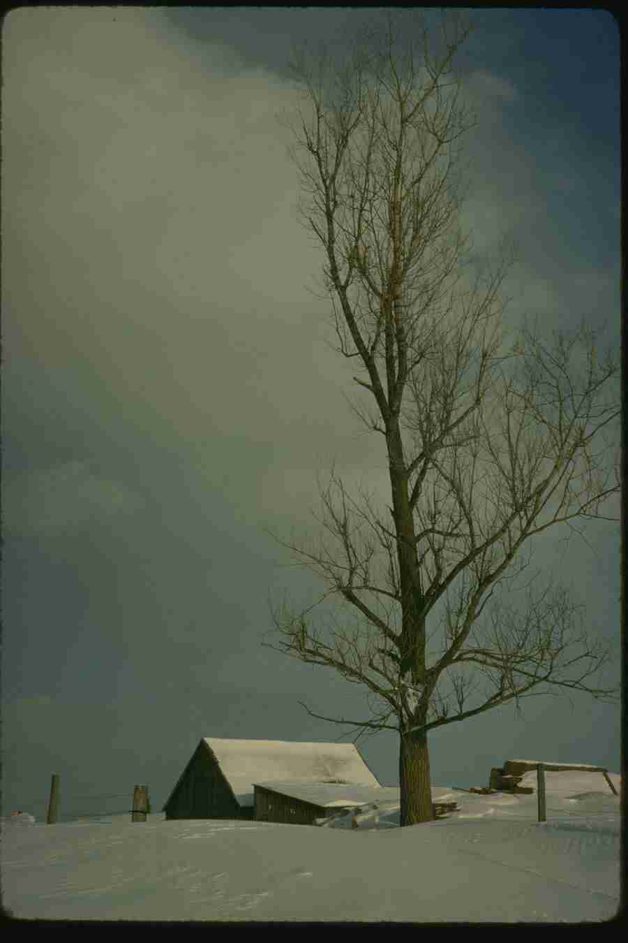 Winter - Corel Professional Photos ></a>
<script language=JavaScript> 
  var txt = 