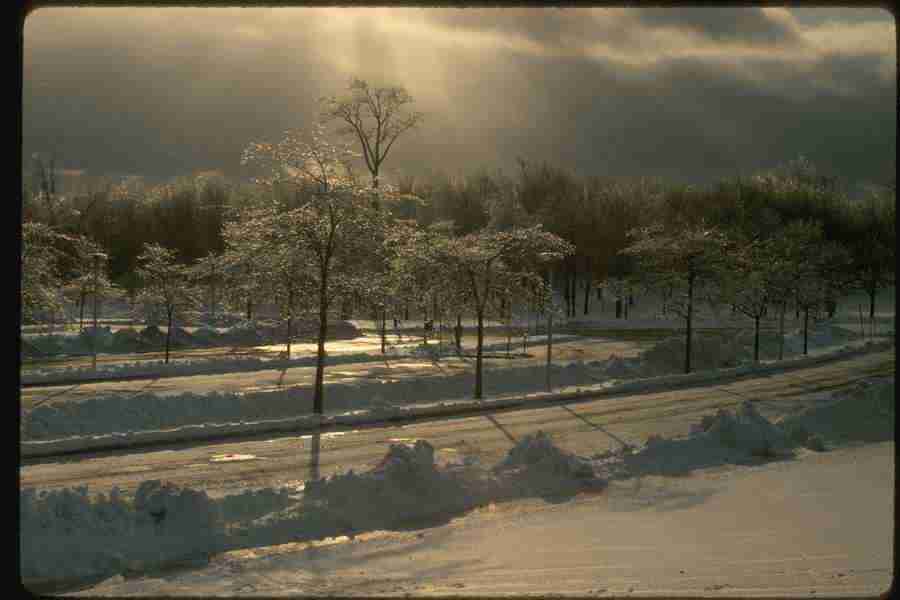 Winter - Corel Professional Photos ></a>
<script language=JavaScript> 
  var txt = 