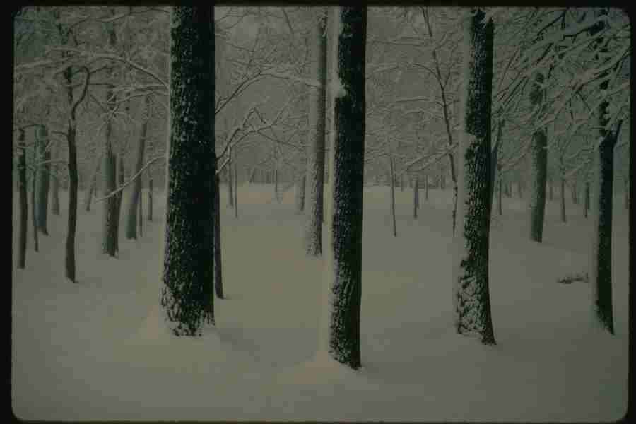 Winter - Corel Professional Photos ></a>
<script language=JavaScript> 
  var txt = 