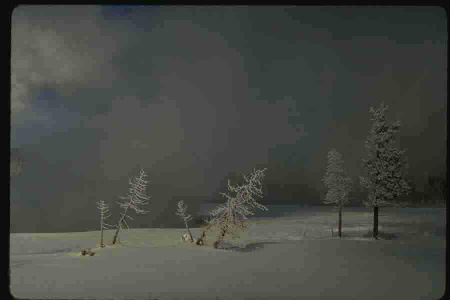 Winter - Corel Professional Photos ></a>
<script language=JavaScript> 
  var txt = 