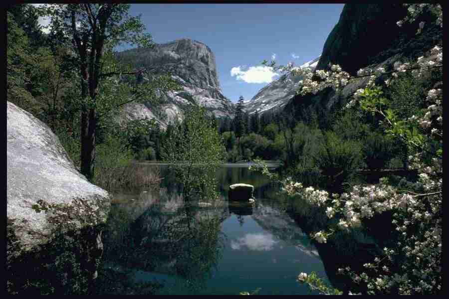 Yosemite - Corel Professional Photos ></a>
<script language=JavaScript> 
  var txt = 