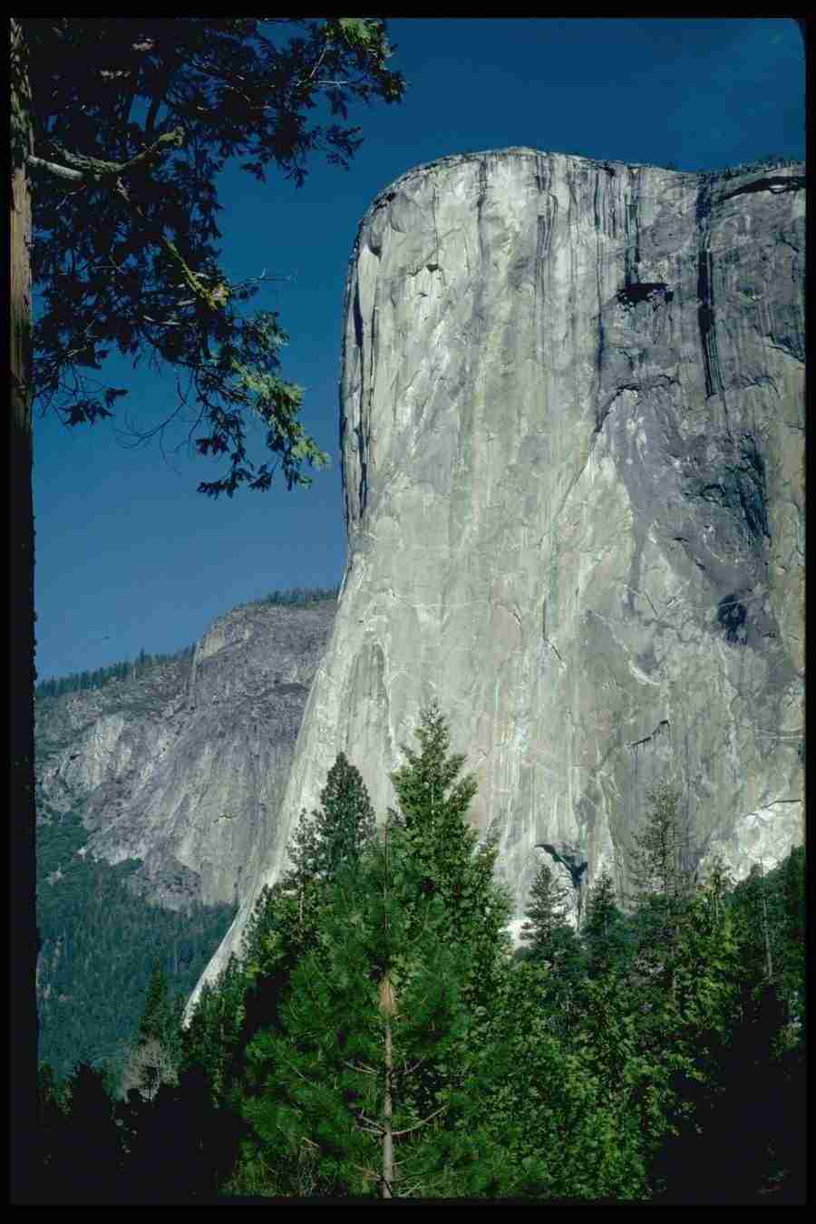 Yosemite - Corel Professional Photos ></a>
<script language=JavaScript> 
  var txt = 