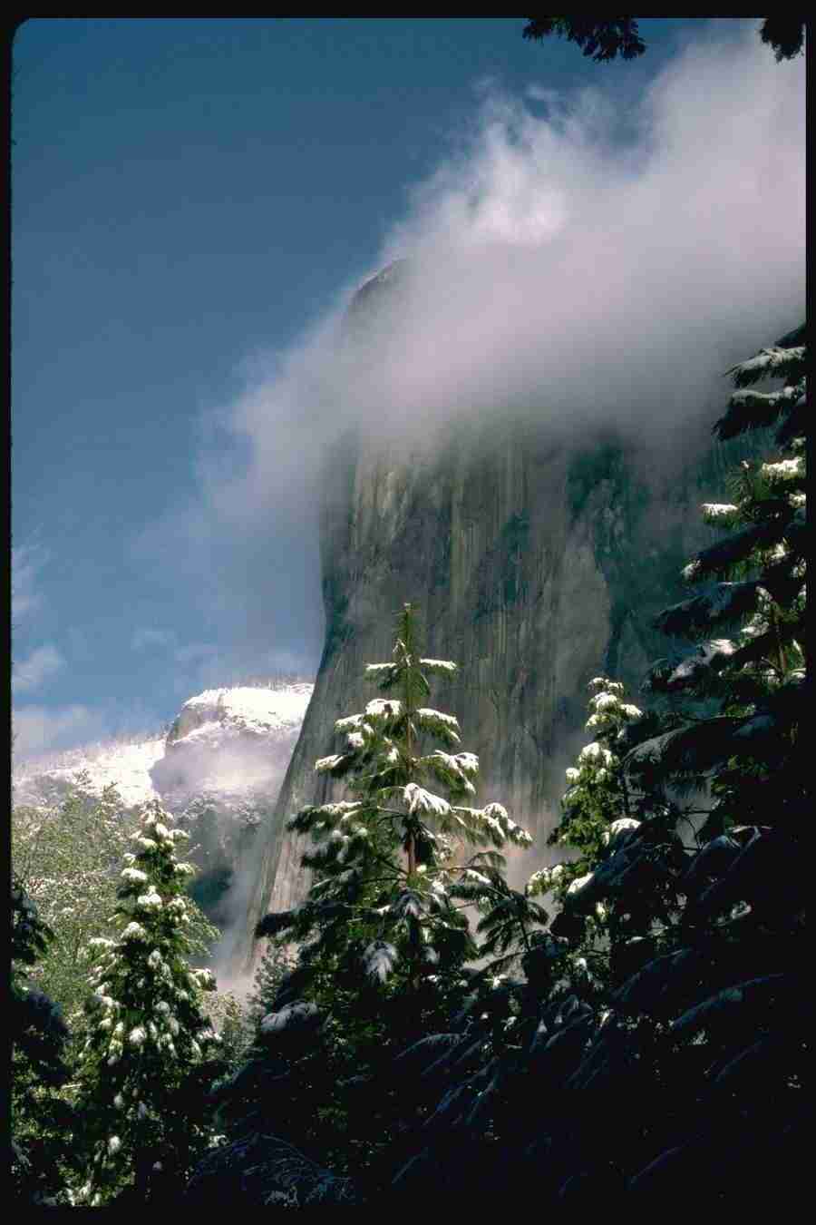 Yosemite - Corel Professional Photos ></a>
<script language=JavaScript> 
  var txt = 