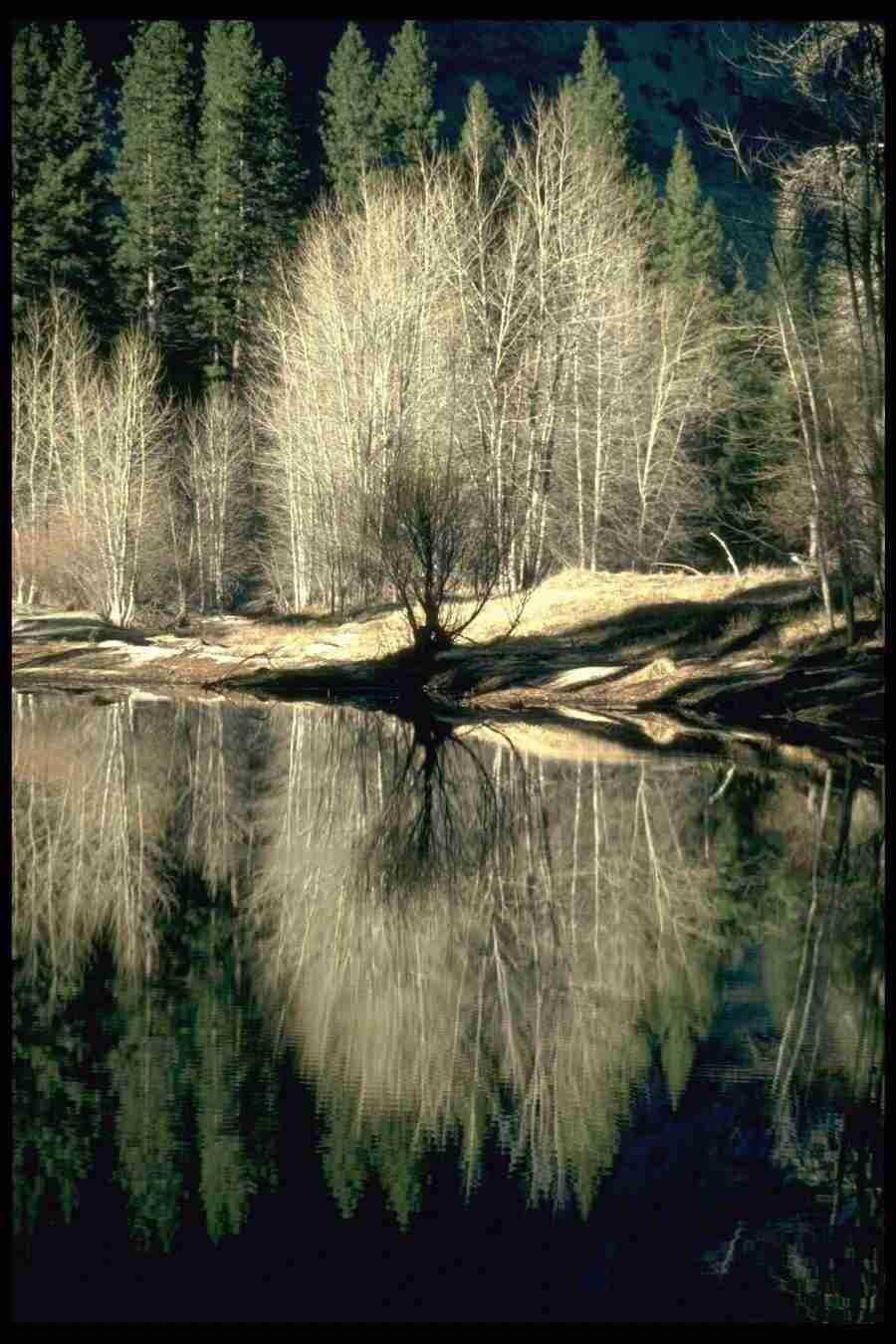 Yosemite - Corel Professional Photos ></a>
<script language=JavaScript> 
  var txt = 