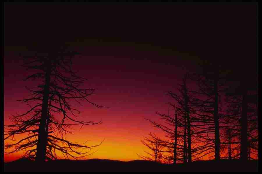 Yosemite - Corel Professional Photos ></a>
<script language=JavaScript> 
  var txt = 