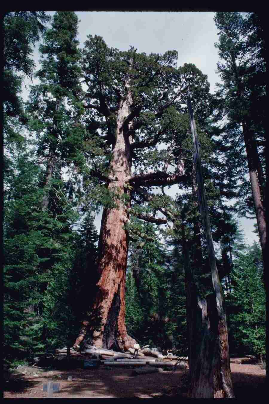 Yosemite - Corel Professional Photos ></a>
<script language=JavaScript> 
  var txt = 