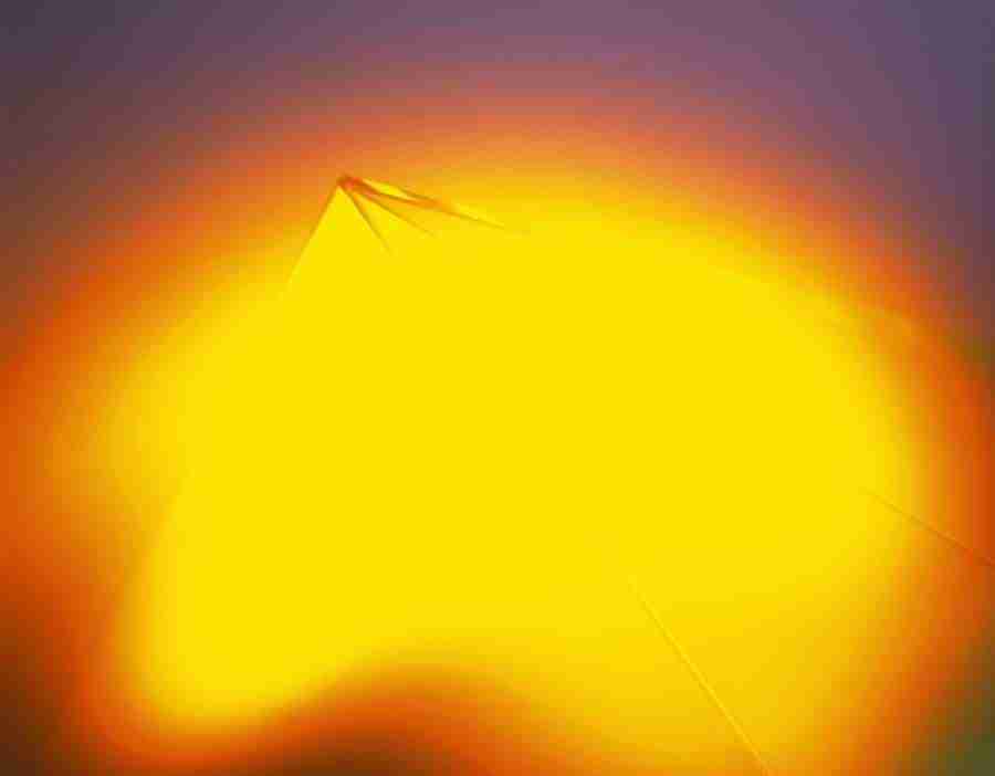 Abstract - DAJ Digital Images ></a>
<script language=JavaScript> 
  var txt = 