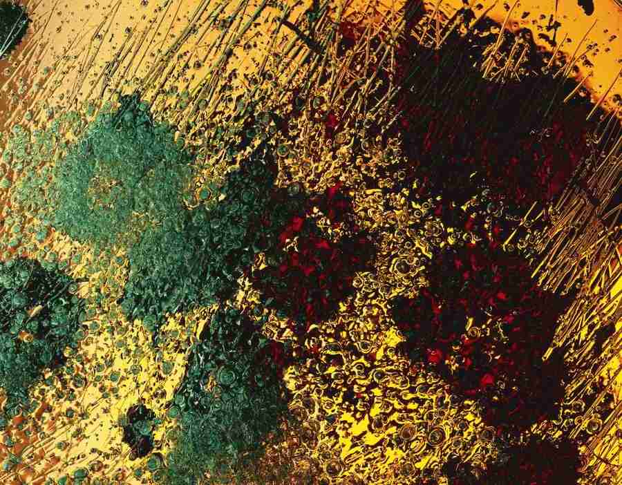 Abstract - DAJ Digital Images ></a>
<script language=JavaScript> 
  var txt = 