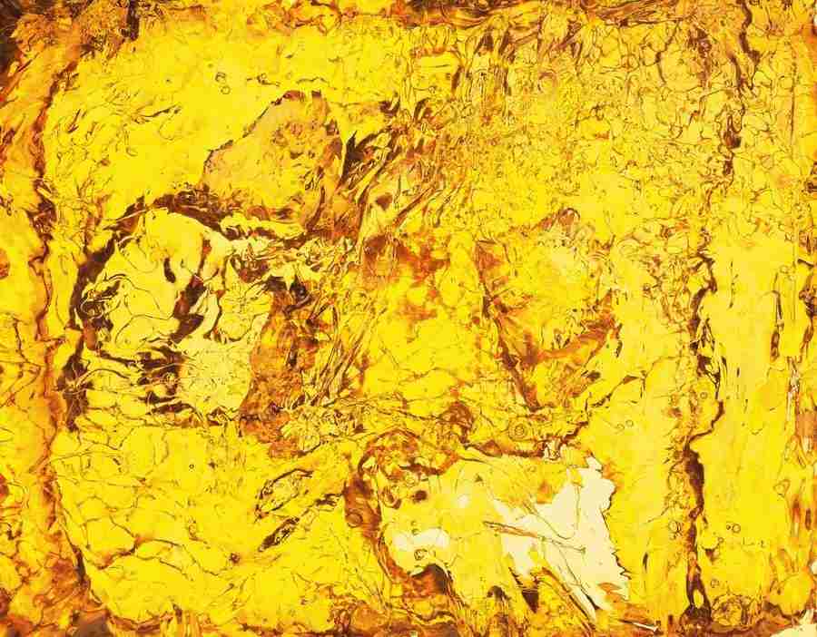 Abstract - DAJ Digital Images ></a>
<script language=JavaScript> 
  var txt = 