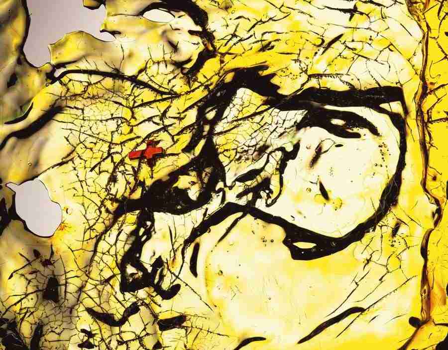 Abstract - DAJ Digital Images ></a>
<script language=JavaScript> 
  var txt = 