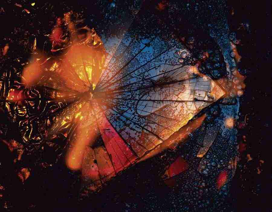Abstract - DAJ Digital Images ></a>
<script language=JavaScript> 
  var txt = 