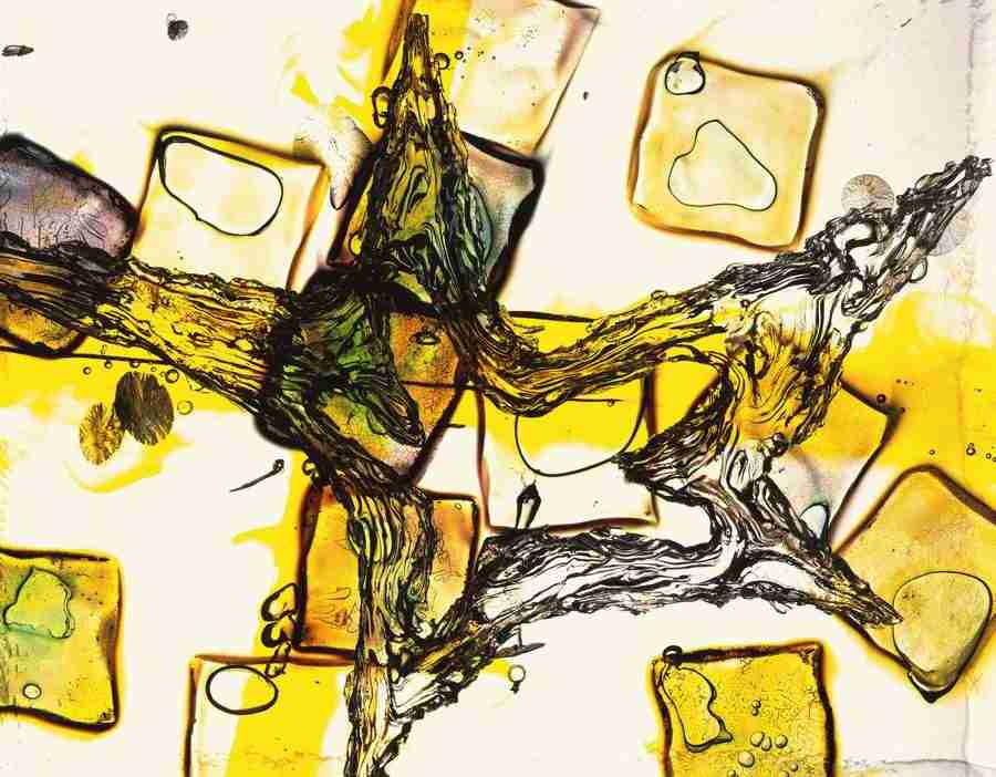 Abstract - DAJ Digital Images ></a>
<script language=JavaScript> 
  var txt = 
