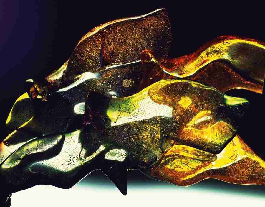 Abstract - DAJ Digital Images ></a>
<script language=JavaScript> 
  var txt = 