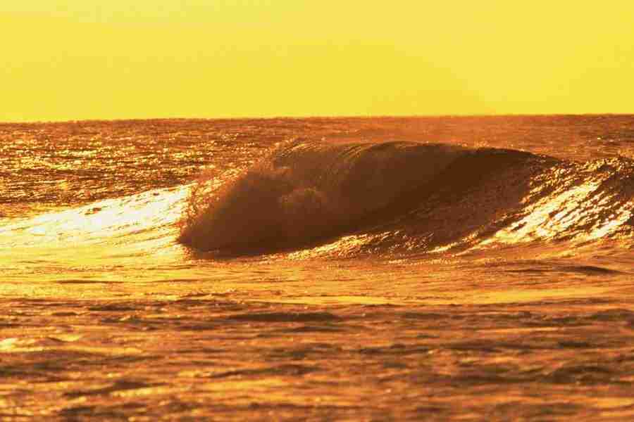 Beach - DAJ Digital Images ></a>
<script language=JavaScript> 
  var txt = 