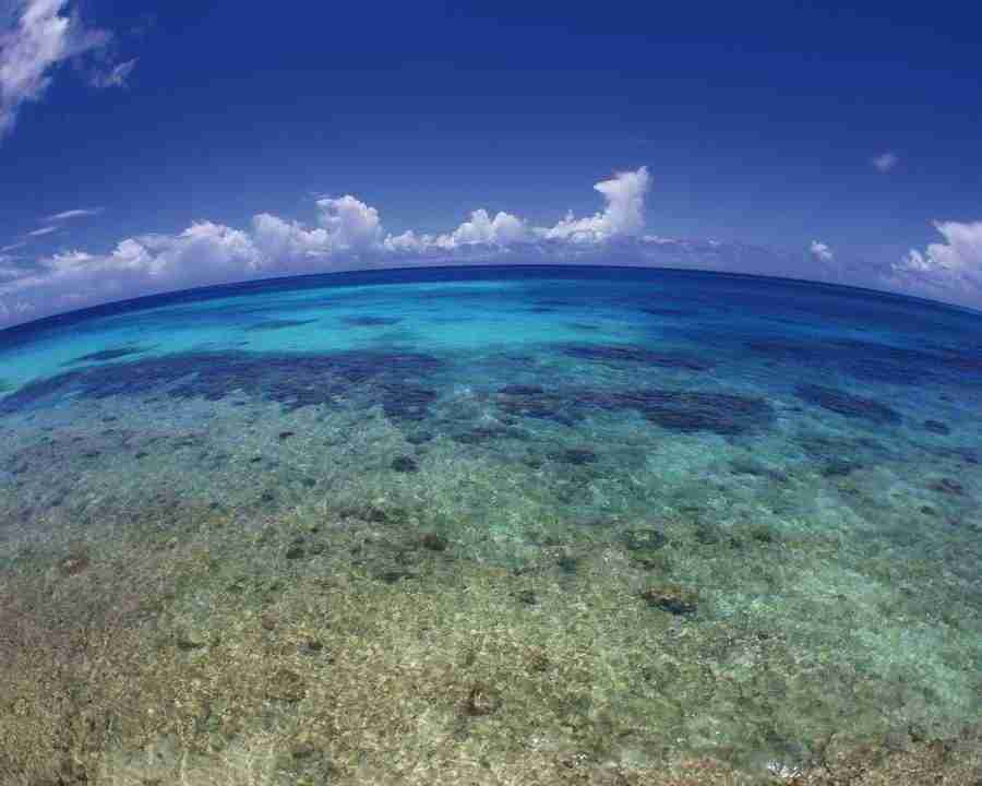 Beach - DAJ Digital Images ></a>
<script language=JavaScript> 
  var txt = 