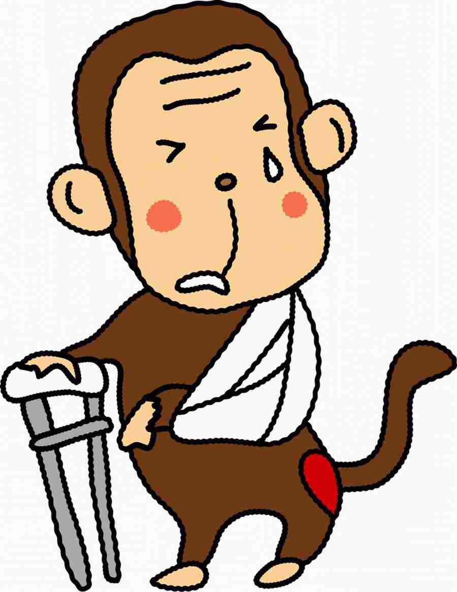 Illustration Animal Characters - DAJ Digital Images ></a>
<script language=JavaScript> 
  var txt = 