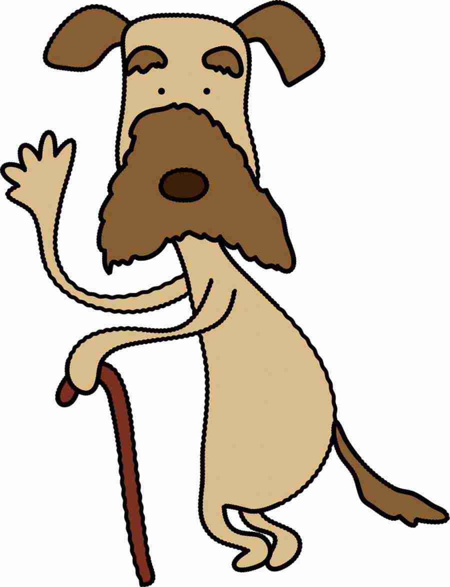 Illustration Animal Characters - DAJ Digital Images ></a>
<script language=JavaScript> 
  var txt = 