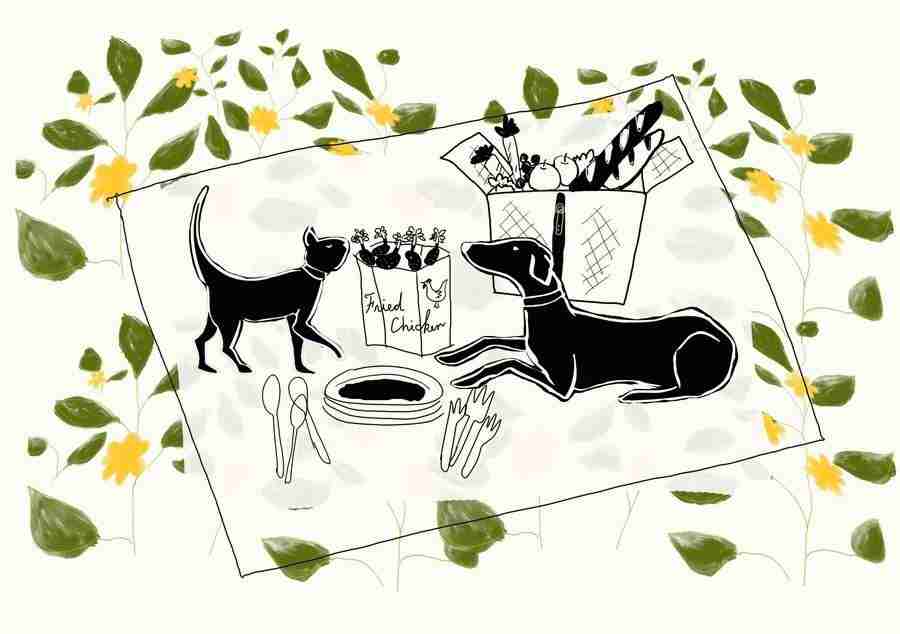 Illustration Pop Life - DAJ Digital Images ></a>
<script language=JavaScript> 
  var txt = 