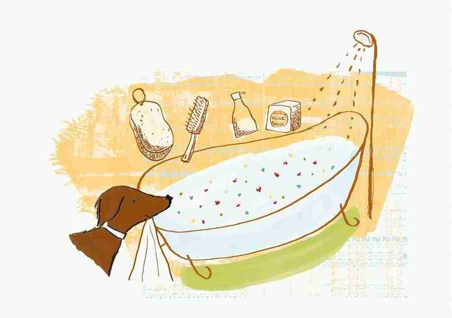 Illustration Pop Life - DAJ Digital Images ></a>
<script language=JavaScript> 
  var txt = 