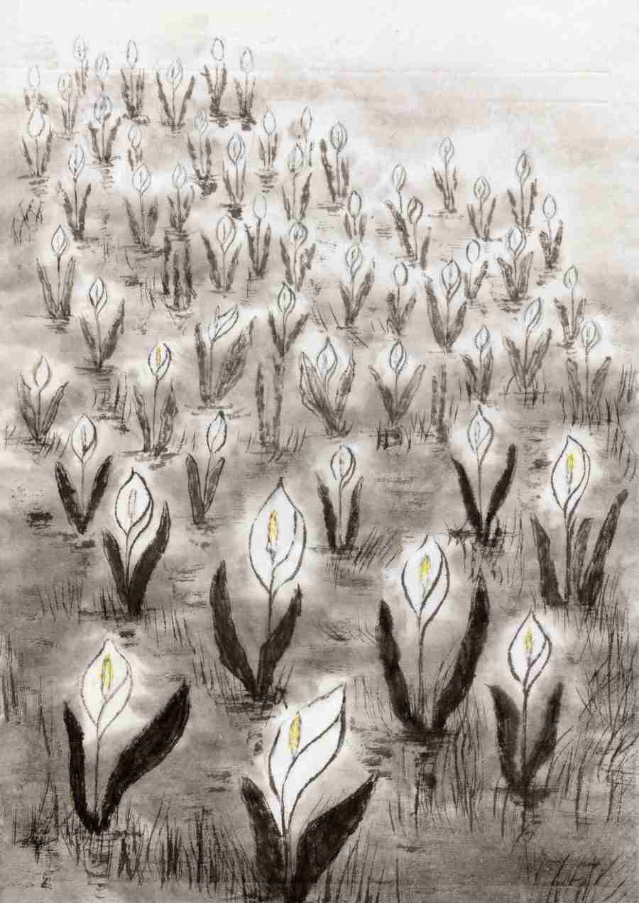 Illustration Subtle and Profound - DAJ Digital Images ></a>
<script language=JavaScript> 
  var txt = 