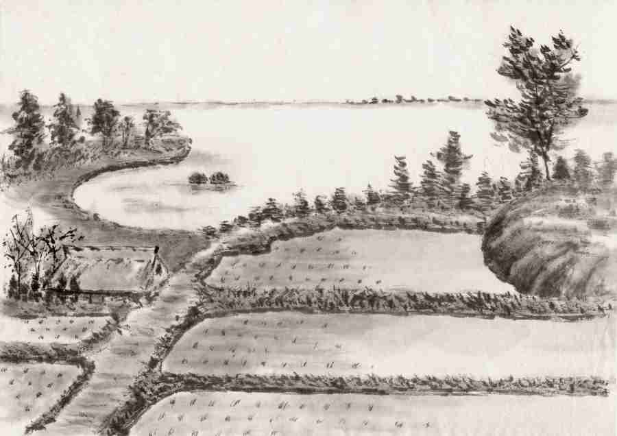 Illustration Subtle and Profound - DAJ Digital Images ></a>
<script language=JavaScript> 
  var txt = 