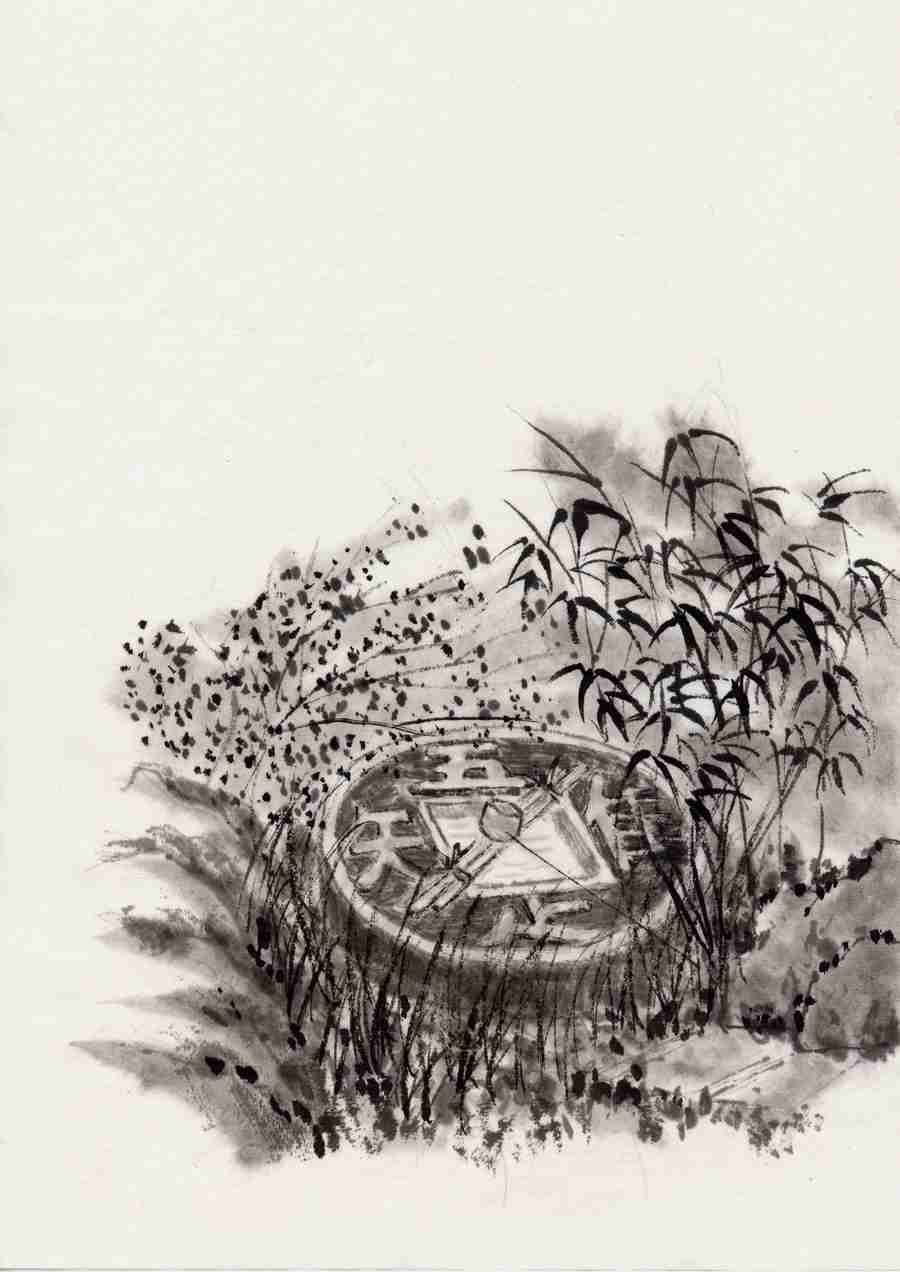 Illustration Subtle and Profound - DAJ Digital Images ></a>
<script language=JavaScript> 
  var txt = 