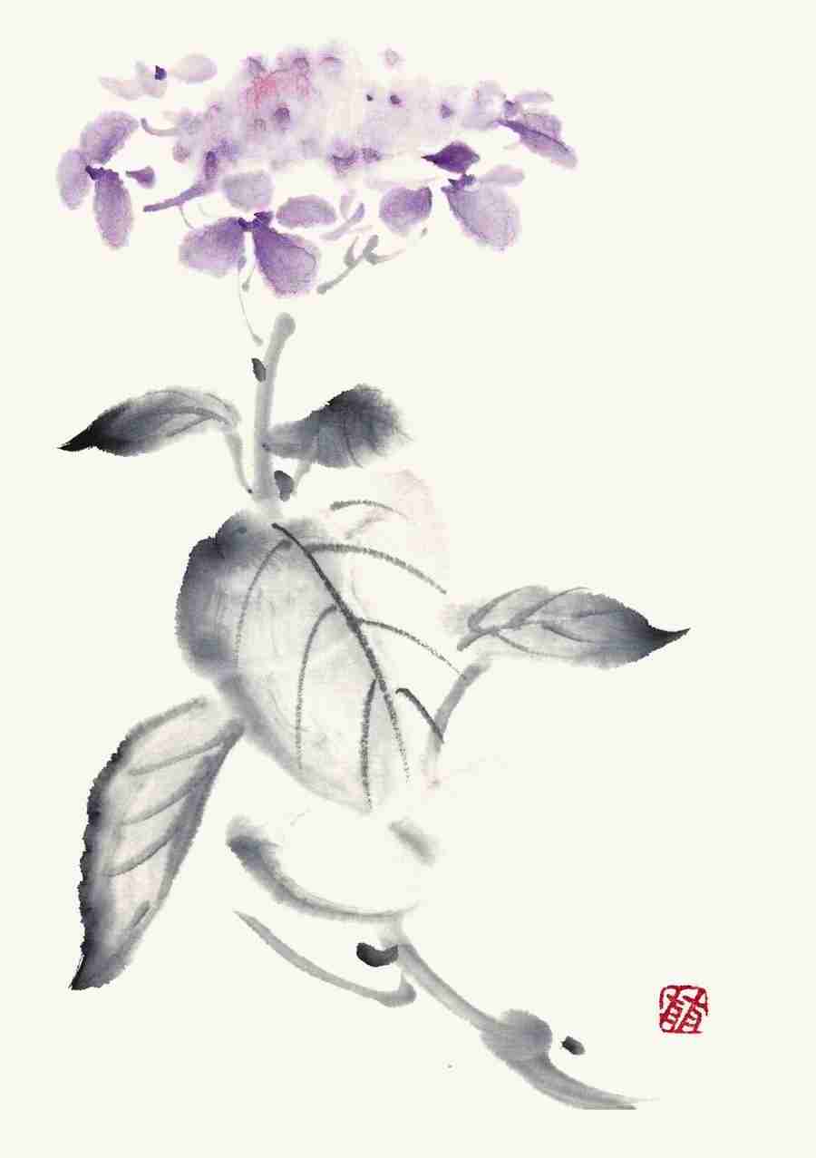 Illustration Sumie - DAJ Digital Images ></a>
<script language=JavaScript> 
  var txt = 