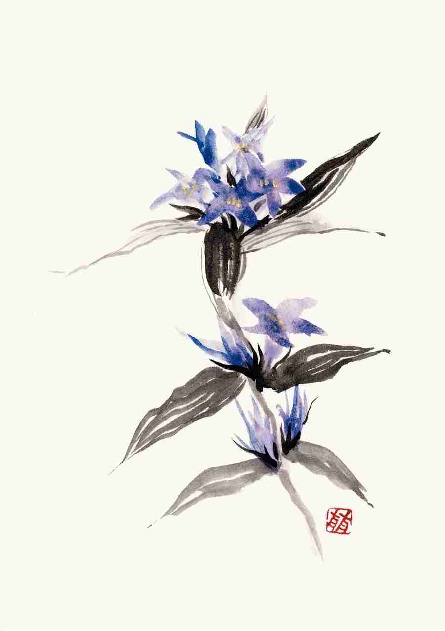 Illustration Sumie - DAJ Digital Images ></a>
<script language=JavaScript> 
  var txt = 